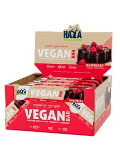   Haya Labs - Vegan Protein Bar 12x40g - Rasperry Fudge Brownie