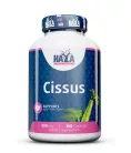 Haya Labs Cissus - ízület támogatás (500mg) - 100 kapszula