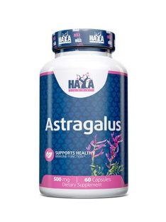 Haya Labs - Astragalus 500 mg. / 60 Caps.