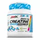 Amix Performance Creapure 2500 mg - Kreatin Rágótabletta - 60 Tabletta