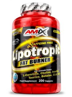   AMIX Nutrition - Lipotropic Fat Burner / 200 caps. - Anyagcserefokozó