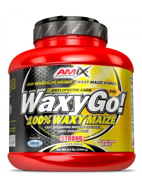 Amix Nutrition Waxy Go! 2000g - Fruit Punch