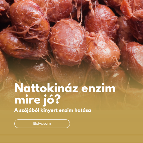 Nattokináz enzim mire jó?