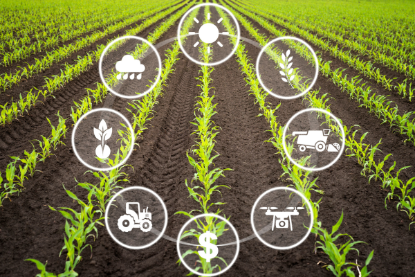 Élelmiszer tápanyag alapjai