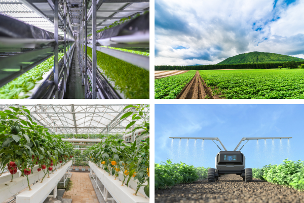 Tápanyag-sűrűség függvényei