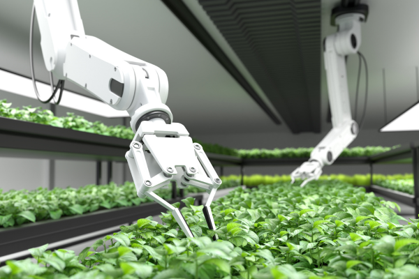 Robotikus növénytermesztés