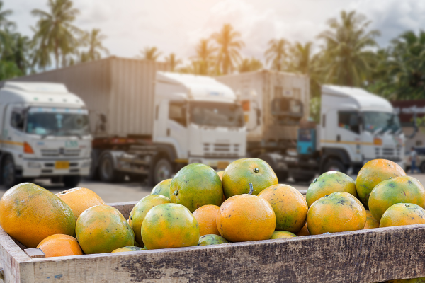 Zöldség-gyümölcs szállítmányok