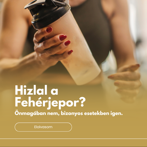 Hizlal a fehérjepor?