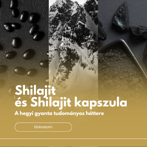 Shilajit és shilajit kapszula - A hegyi gyanta tudományos háttere