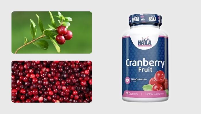 Tőzegáfonya- cranberry